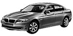 BMW F10 P178F Fault Code